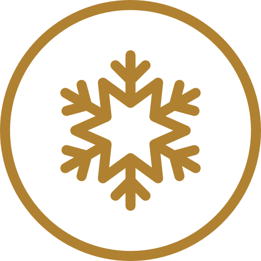 Ícone 1